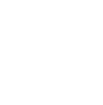 Mini logo Buchvald